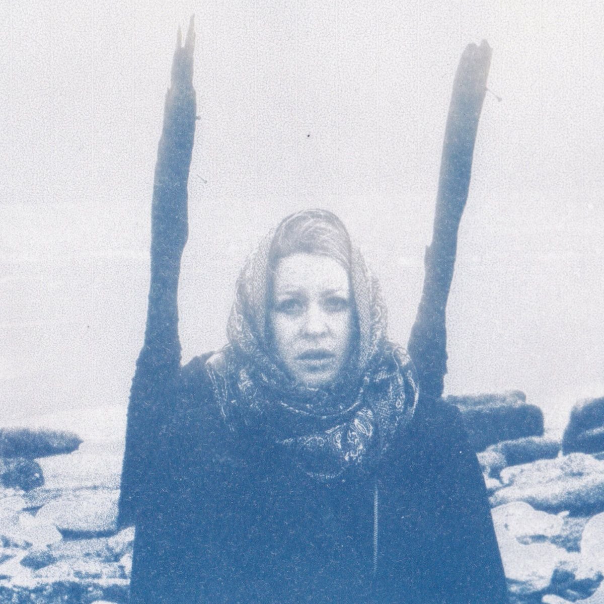 cover art for dane law blue forty-six showing a woman on a frozen tundra