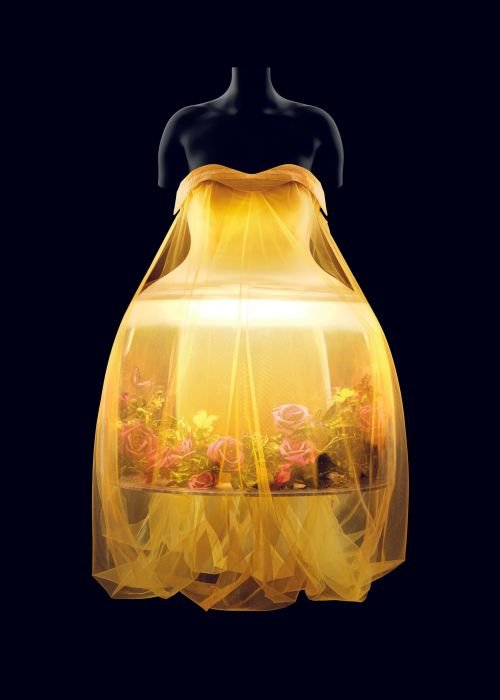 image of a digitally enhanced garment from the Sleeping Beauties exhibit